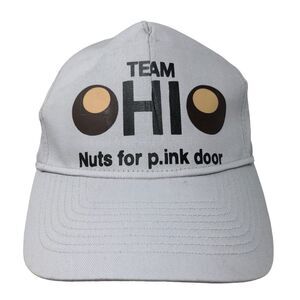 Ultra Club Men's Strapback Hat Gray Graphic Logo Team Ohio Pink Door Logo Cotton